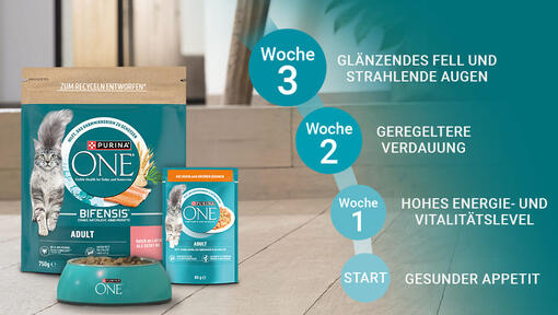 Entdecke in nur 3 Wochen den Unterschied