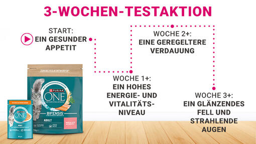Willkommen bei der PURINA ONE Spar-Aktion