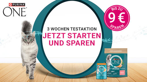 Purina One 3 Wochen Testaktion
