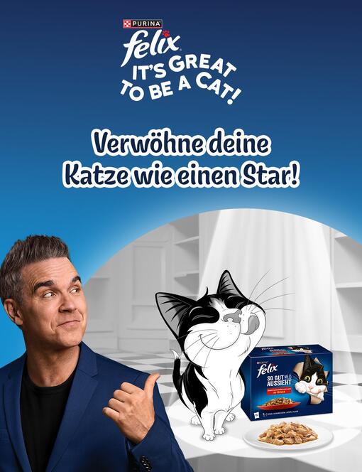 Verwöhne deine Katze mit FELIX