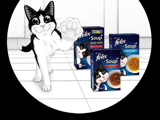 Köstliche FELIX Soup