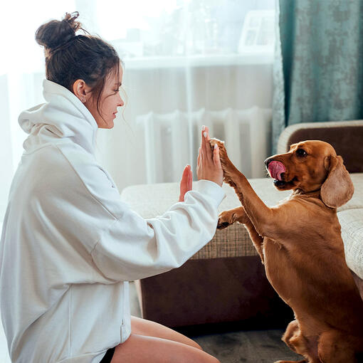 Frau mit Hund Highfive Mobile