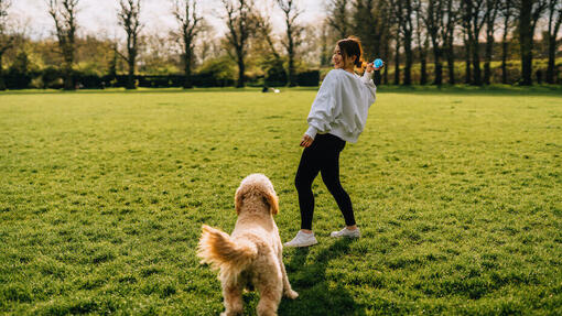 Frau spielt draußen mit Hund