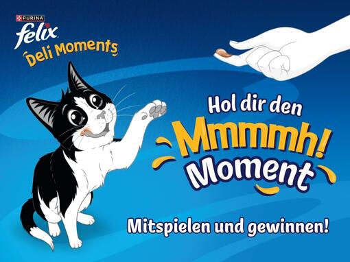 FELIX Deli Moments