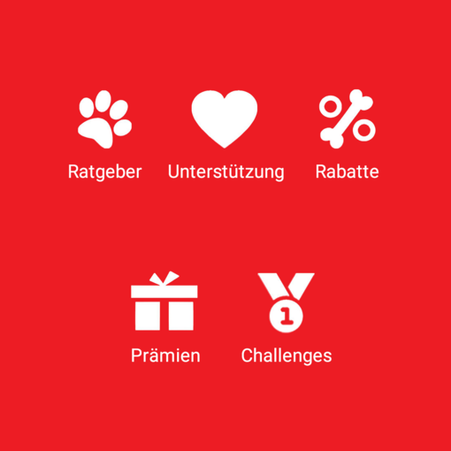 icons mobile