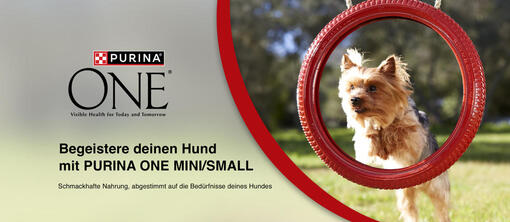 Purina One Dog Mini