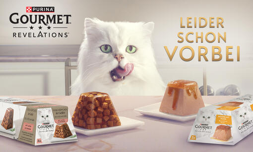 Die Aktion ist leider schon vorbei