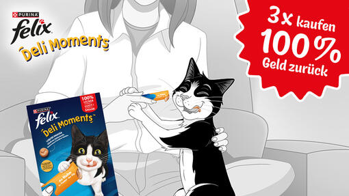 100% Geld zurück! Mach mit bei der FELIX Deli Moments Cashback Aktion
