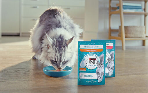 Großartiger Geschmack