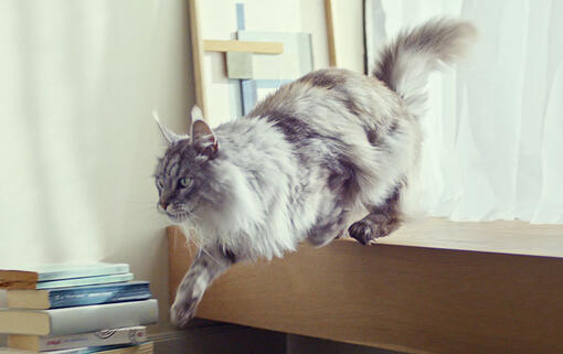 Unterstützt ein gesundes Darmmikrobiom