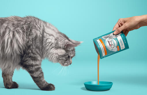 SICHTBARE GESUNDHEIT FÜR HEUTE UND MORGEN