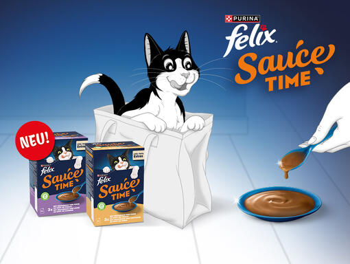FELIX Sauce Time