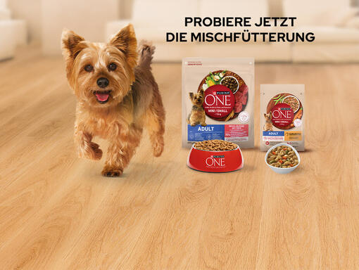Mischfütterung: Vertraue dem Mix