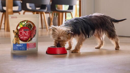 PURINA ONE MINI/SMALL