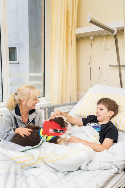 Junge wird von Hund am Krankenbett besucht
