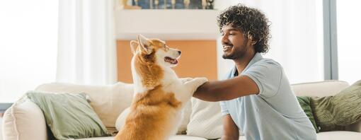Wie du eine Bindung zu deinem Hund aufbau