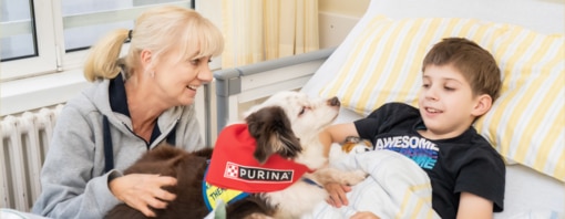 Hund der gemeinsamen Mission von Kinderschutzengel e.V. & Purina besucht Jungen an Krankenbett