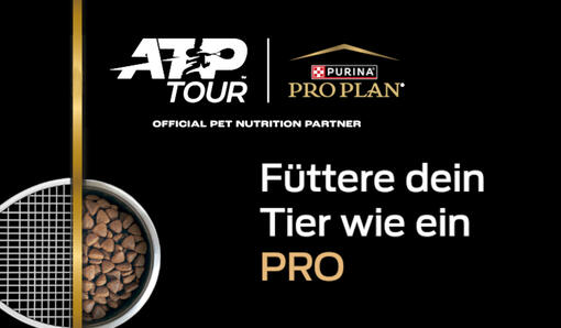 Pro Plan