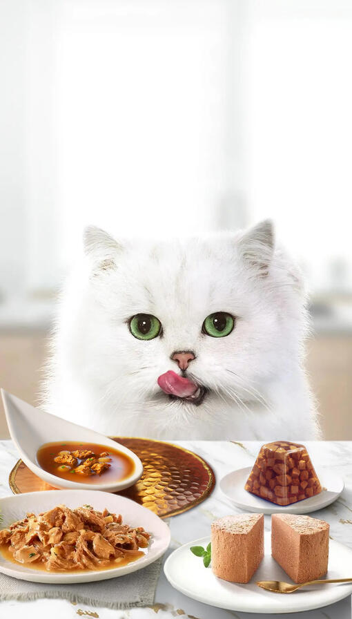 Gourmet