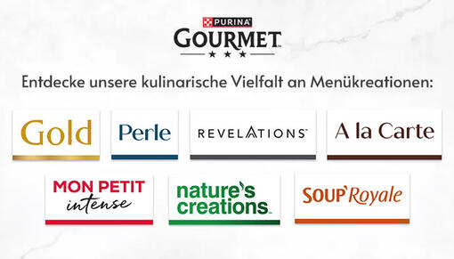 Gourmet range