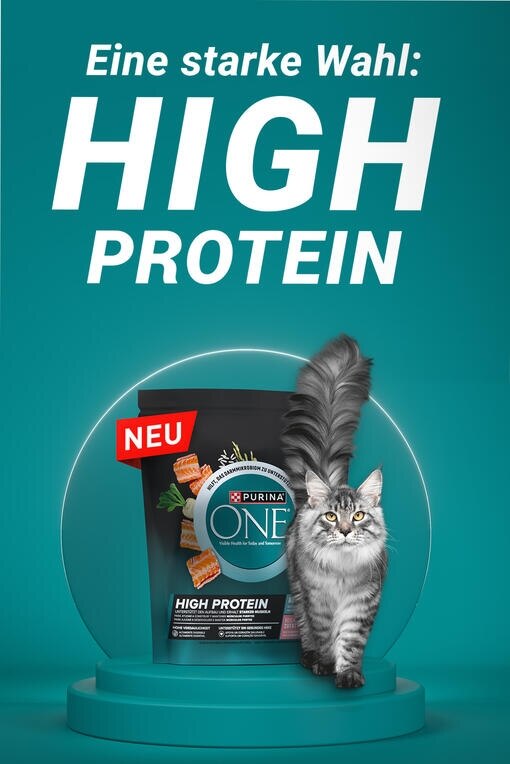 Purina one HIGH PROTEIN
