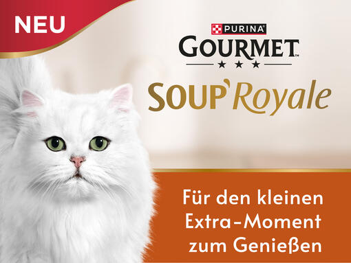 Gourmet Soup Royale