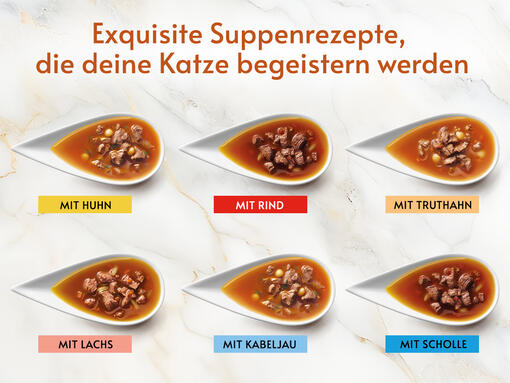 Exquisite Suppenrezepte, die deine Katze begeistern werden