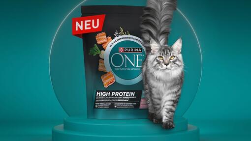 Eine starke Wahl: PURINA ONE HIGH PROTEIN