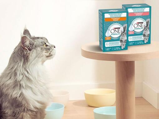 PURINA ONE Hydralife – Make it easy
