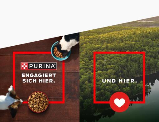 PURINA engagiert sich hier. Und hier.