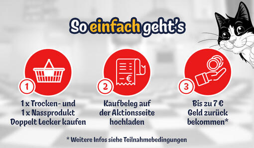 So einfach funktioniert’s: