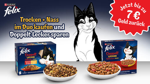 Felix testen