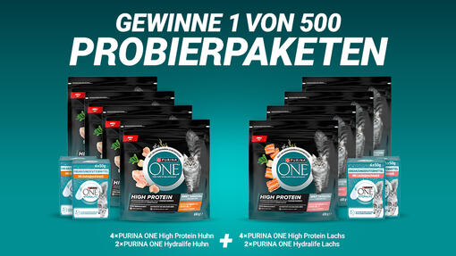 Gewinne 1 von 500 PURINA ONE HIGH PROTEIN Probierpaketen