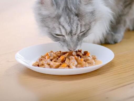 PURINA ONE Nassfutter