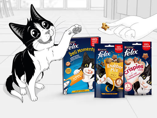 Unwiderstehliche Snacks
