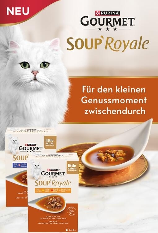 Gourmet Soup Royale