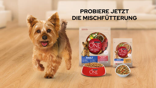 Mischfütterung: Vertraue dem Mix