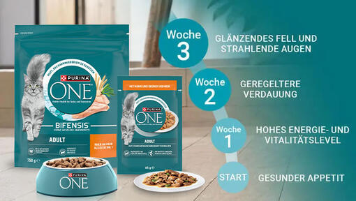 Entdecke in nur 3 Wochen den Unterschied