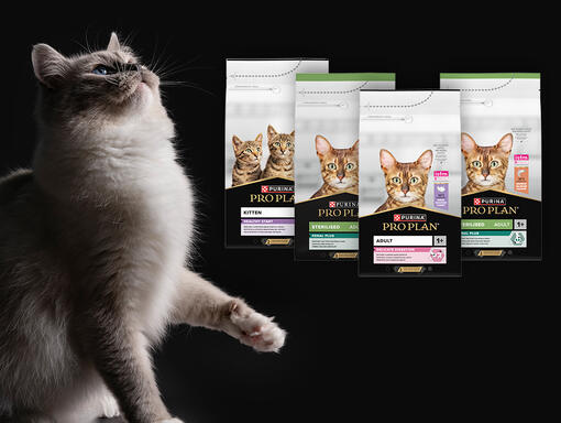 PRO PLAN Katze Trockennahrung