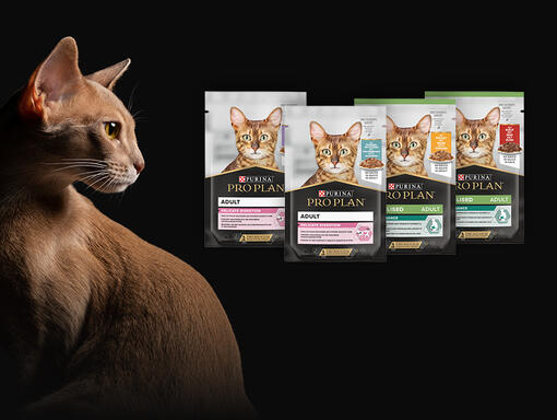 PRO PLAN Katzen Nassnahrung