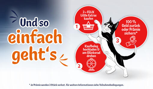 Dreh & Gewinn-Aktion mit FELIX Little Extras