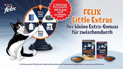 FELIX Little Extras testen & am Glücksrad drehen