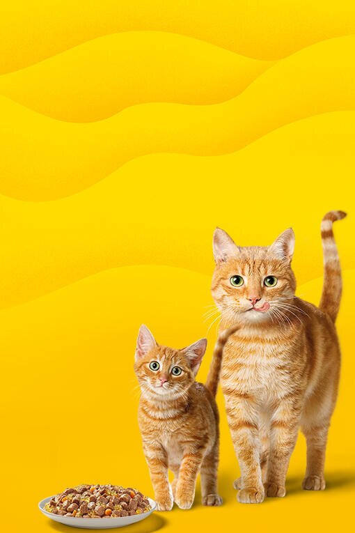 Friskies