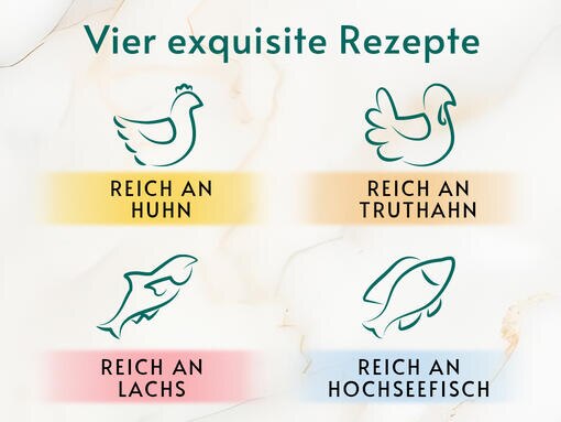 Vier exquisite Menüs