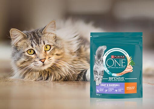 Unterstützung von innen: PURINA ONE Coat & Hairball