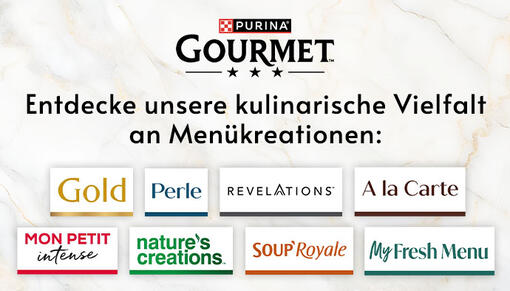 PURINA GOURMET