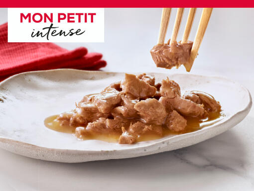 GOURMET MON PETIT INTENSE