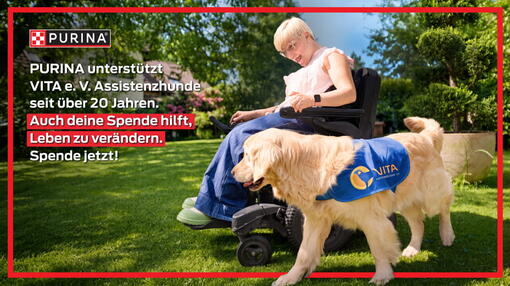 Vier Pfoten, neue Hoffnung: Wie Assistenzhunde Leben verändern