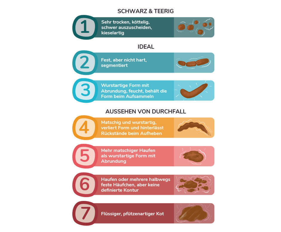 Die Konsistenz des Hundekots Die Konsistenz des Hundekots