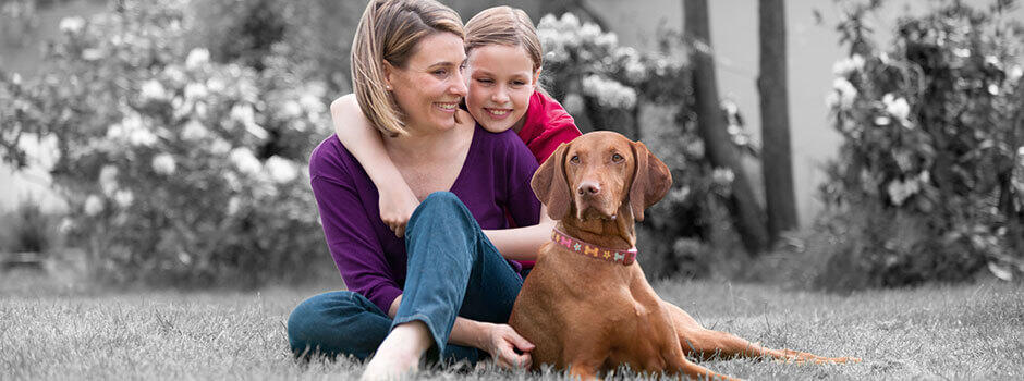 Mutter, Kind und Hund sitzen auf der Wiese Mutter, Kind und Hund sitzen auf der Wiese